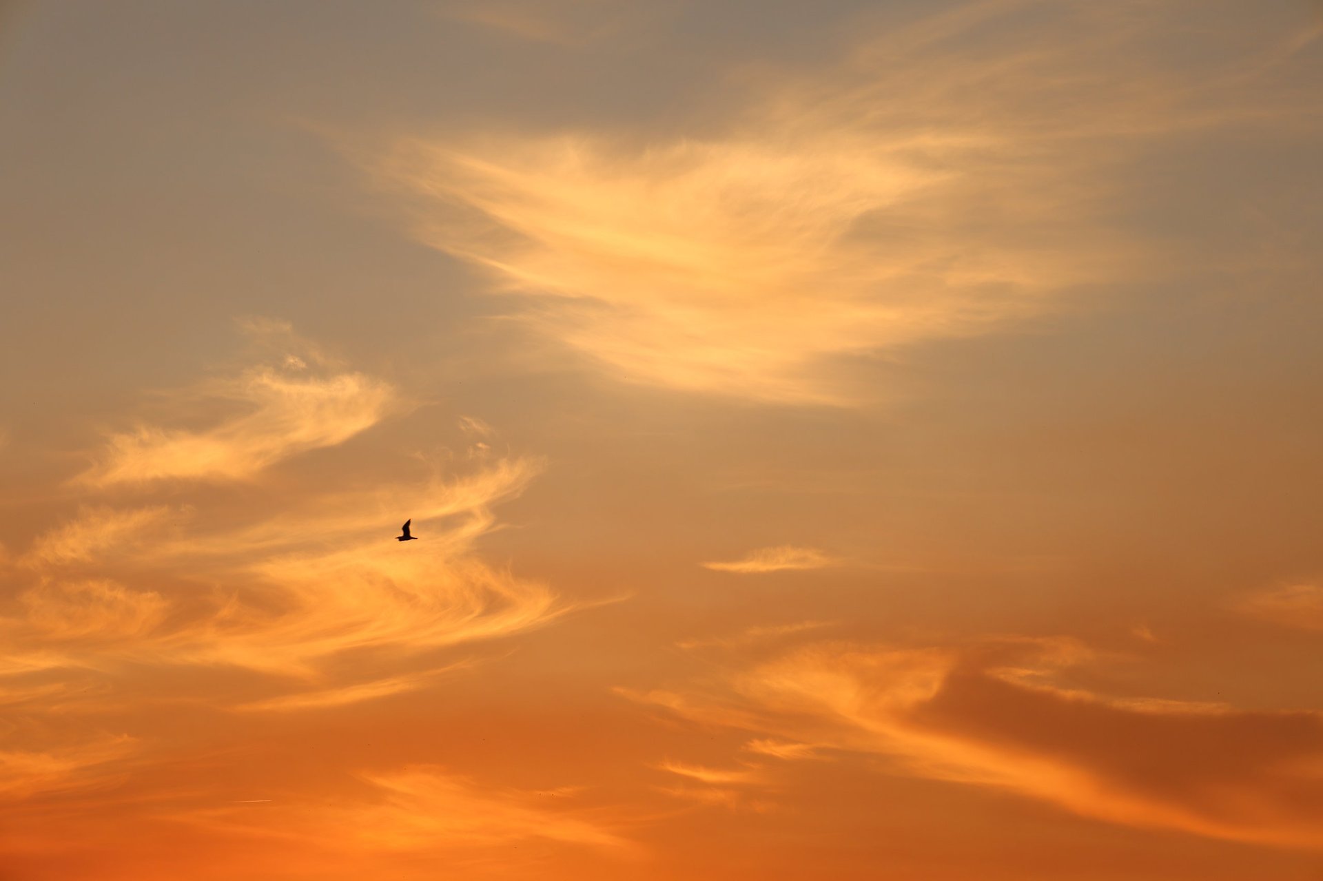 Vibrant orange, pink and gold sunset sky with epic clouds, setting a dramatic backdrop for drone services