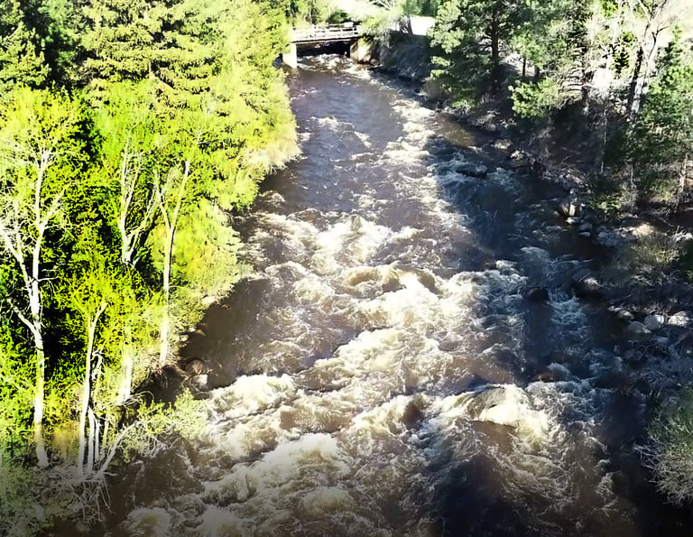 Fast-flowing river with turbulent white water rushing through a forest valley surrounded by green trees and large boulders