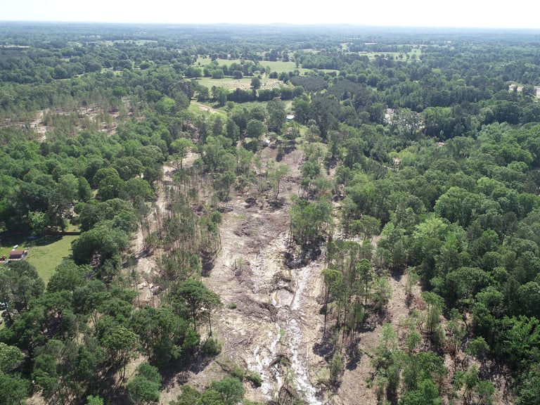 Aerial view of a rocky canyon or riverbed cutting through dense green forest landscape with distant agricultural fields